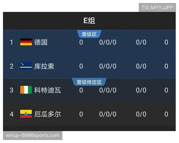 世界杯E组形势变化全解读 世界杯E组形势变化全解读